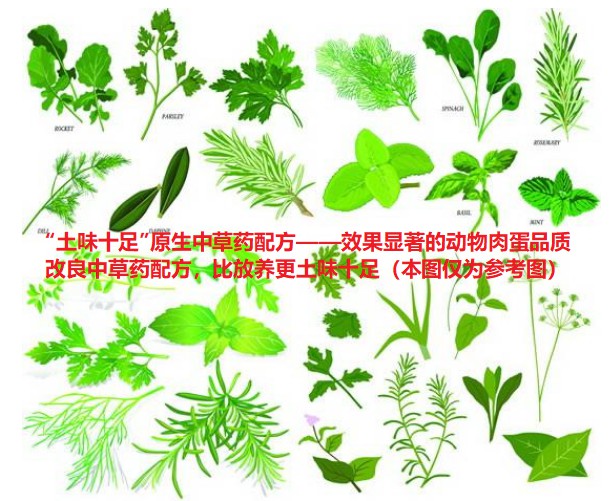 “土味十足”原生中草藥配方——效果顯著的動物肉蛋品質改良中草藥配方，比放養更土味十足